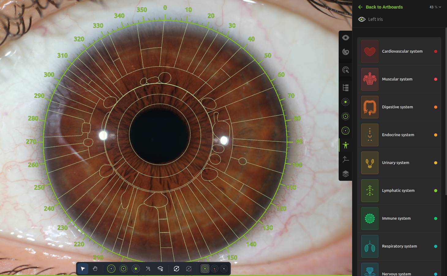 CosmicIris diagnostic canvas — left iris with multi-dimensional map overlay